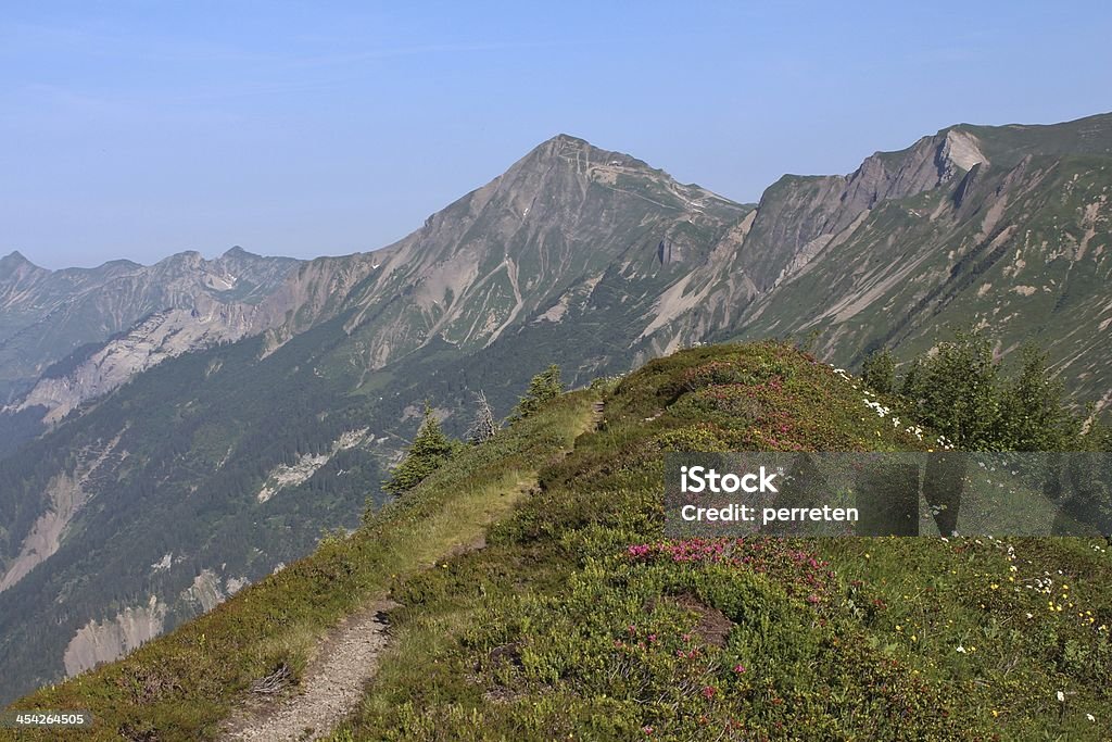 Mountain ridge avec Alpenrosen - Photo de Alpes européennes libre de droits