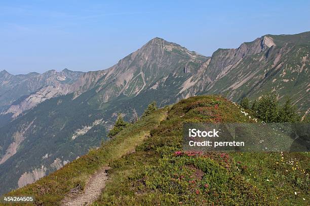 Photo libre de droit de Mountain Ridge Avec Alpenrosen banque d'images et plus d'images libres de droit de Alpes européennes - Alpes européennes, Aumône, Brienz