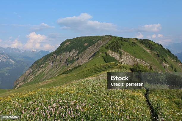 Photo libre de droit de Wilerhorn Montagne banque d'images et plus d'images libres de droit de Alpes européennes - Alpes européennes, Aumône, Brienz