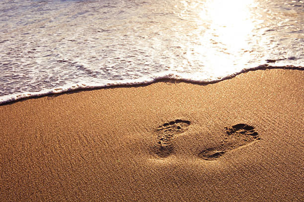 istock Footprints in the sand along the shoreline 454266433