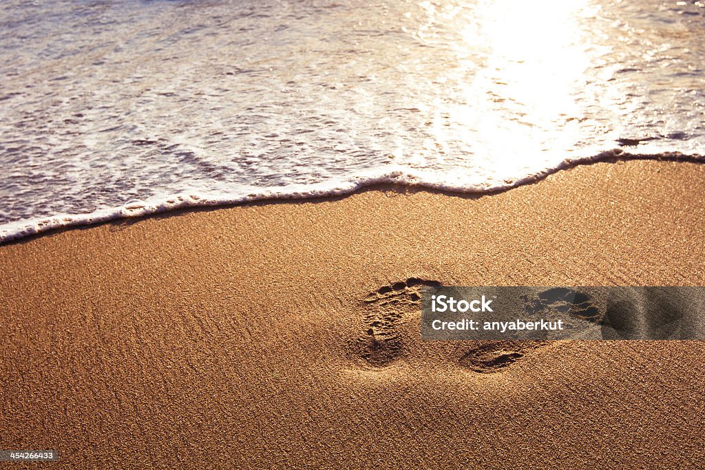 Footprints in the sand along the shoreline walk on the beach Footprint Stock Photo