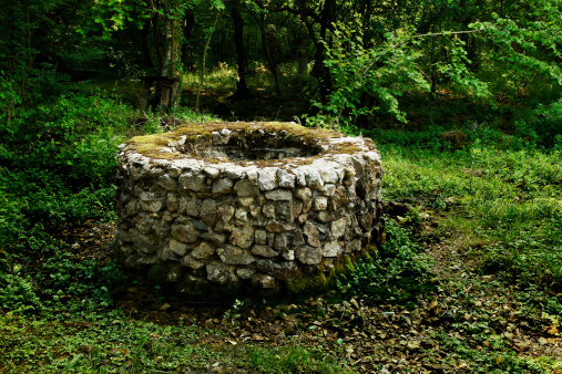 This is an old stone well in the forest.