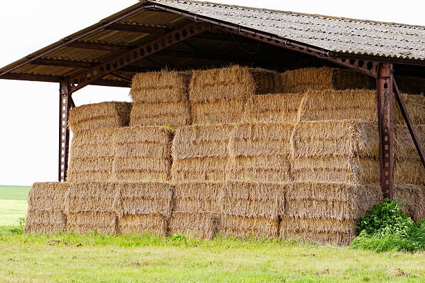 istock straw bales under the roof 454267135