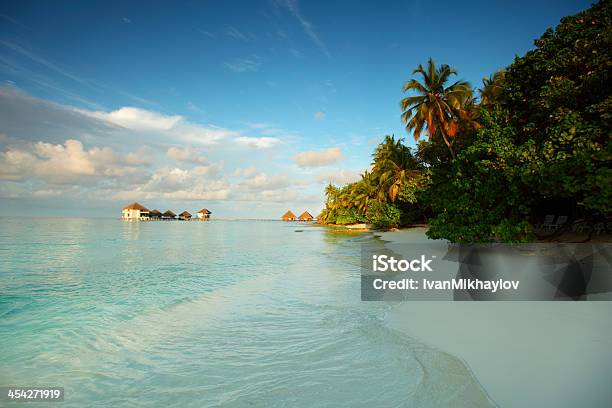 Photo libre de droit de Paysage Des Maldives banque d'images et plus d'images libres de droit de Activité de loisirs - Activité de loisirs, Arbre, Arbre tropical