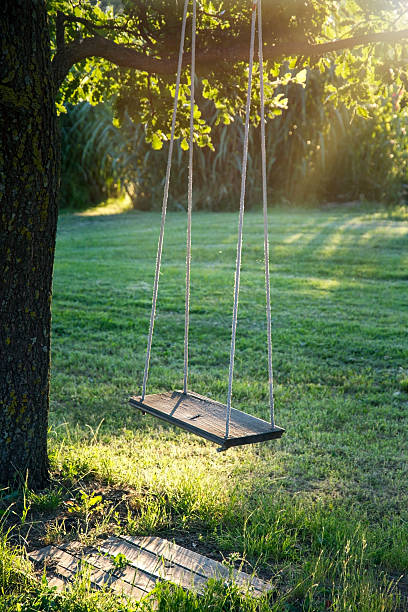 istock Wooden vintage garden swing 454276667