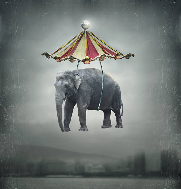 fantasy éléphant - poetic photos et images de collection