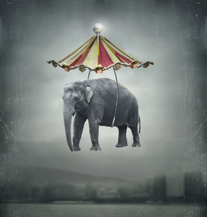 Fantasy image that represent a flying elephant with circus tent in the sky and landscape on the background