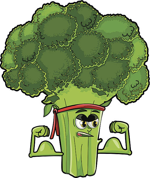 Broccoli vector art illustration