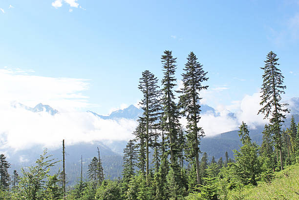 istock beautiful view on the Tatra Mountains, Poland 454282921