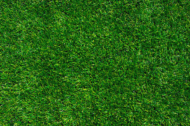 istock Background of a green grass 454287585