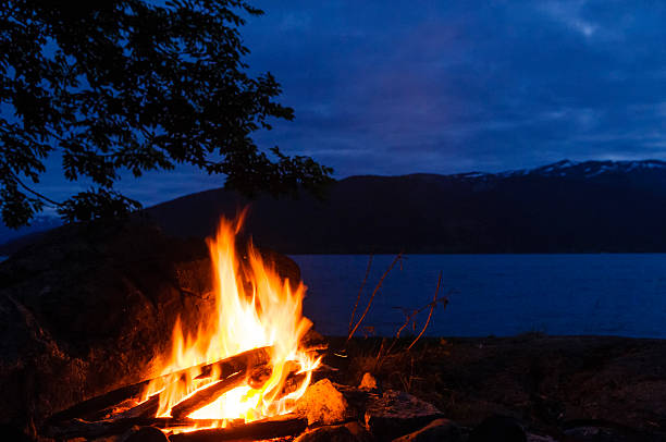istock Campfire at theSognefjord 454287915