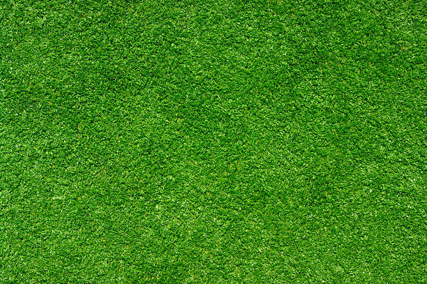 istock Background of a green grass 454305457