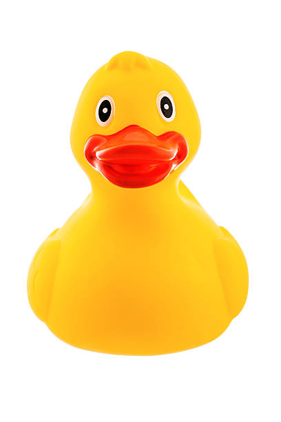 Sweet rubber duck stock photo