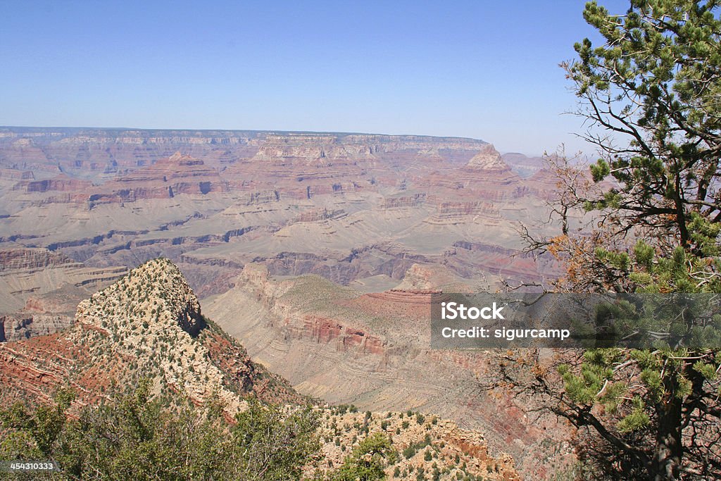 Parque Nacional do Grand canyon, Arizona, EUA - Royalty-free América do Norte Foto de stock