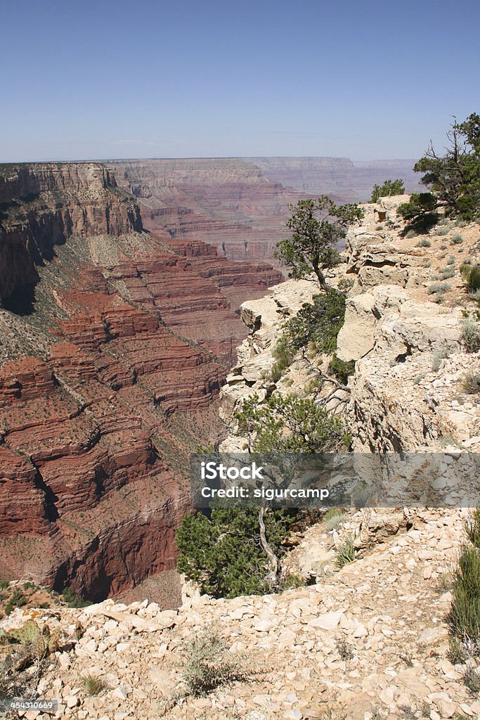 Parc national du Grand canyon en Arizona, États-Unis - Photo de Amérique du Nord libre de droits