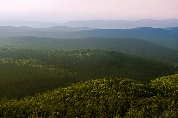 Western Sayan. Park Ergaki. Taiga.