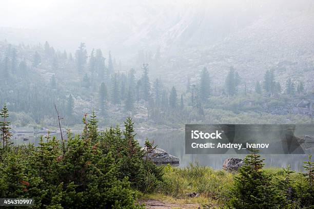 Taiga Stock Photo - Download Image Now - Beauty In Nature, Boreal Forest, Canada