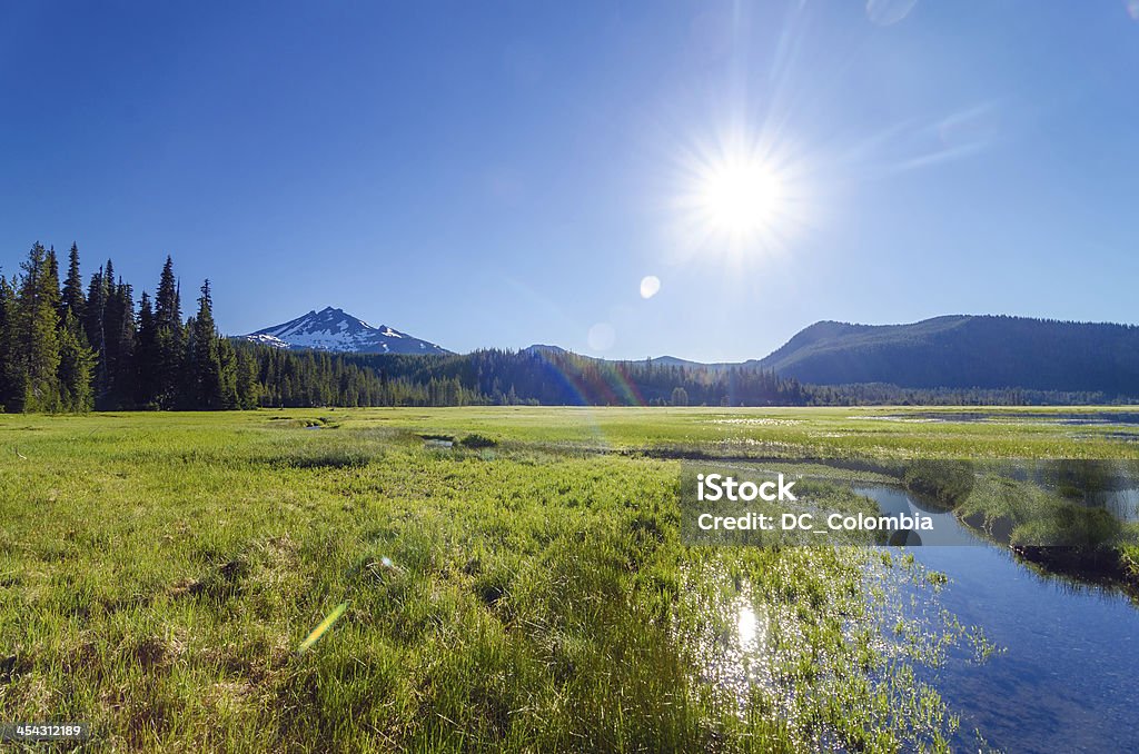 South Sister Wide Angle View of a meadow and South Sister mountain shot looking directly into the sun near Bend, Oregon Oregon - US State Stock Photo