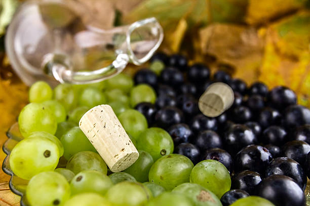 виноград на виноградной лозы - wine cork antioxidant wineglass autumn стоковые фото и изображения