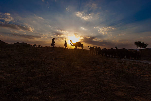 istock Silhouette of Camel Riders at Pushkar 454312225