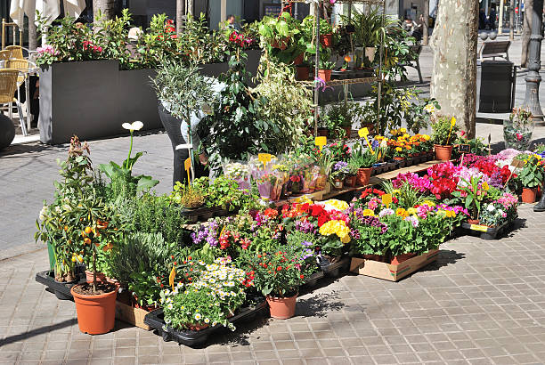 istock Florist display in Barcelona. Spain 454312623