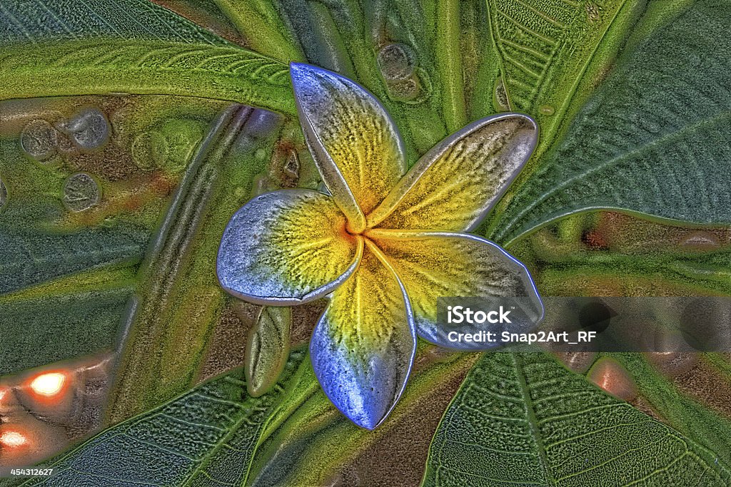 Tło żółty Kwiat Magnolii - Zbiór zdjęć royalty-free (Abstrakcja)