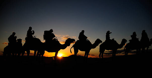 istock Camel caravan at the sunset, Sahara Desert 454313799