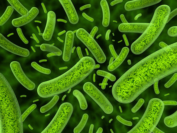 Bacteria illustration stock photo