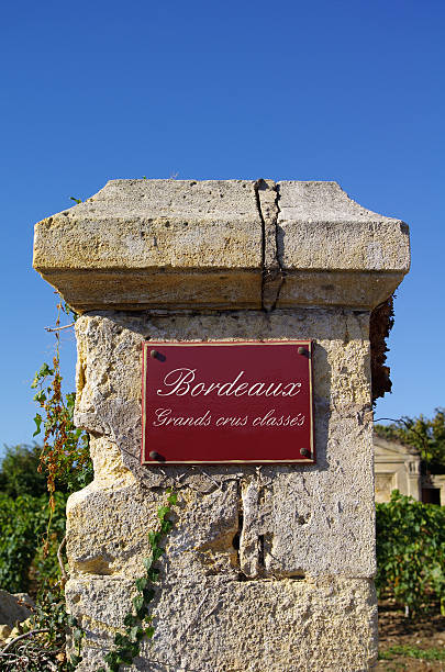 bordeaux. cours de grands crus - rothschild photos et images de collection