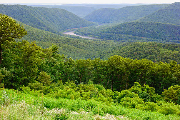 View of the winding West Branch Susquehanna River valley, looking east from Hyner View State Park, Pennsylvania