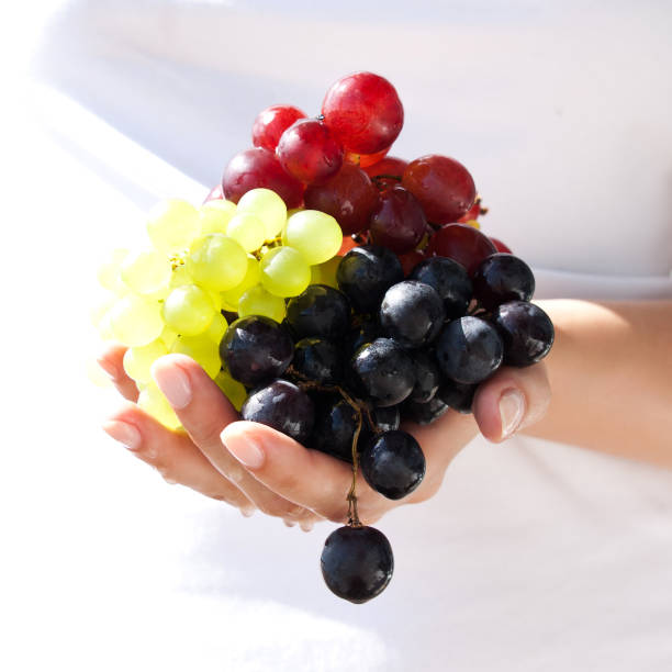 istock Juicy, sunny grapes in hand 454320397