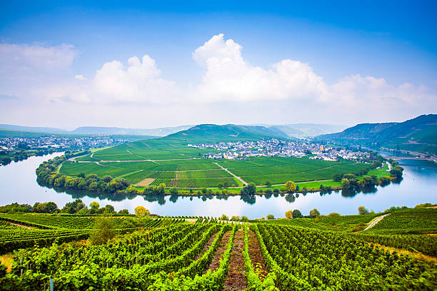 istock famous Moselle Sinuosity with vineyards 454320735