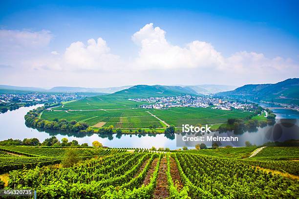 Famous Moselle Sinuosity With Vineyards Stock Photo - Download Image Now - Agricultural Field, Agriculture, Autumn