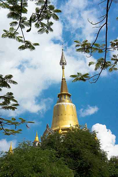 VietNam - Golden pagoda in sky view more picture pagoda in my portfolio vietnam cuture stock pictures, royalty-free photos & images