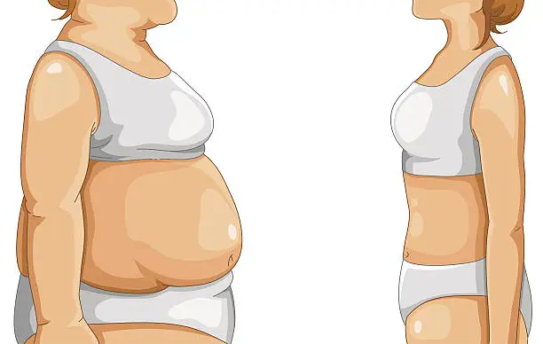 Vector illustration of fat and thin