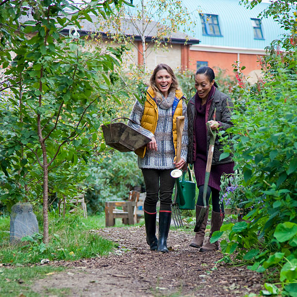 istock In the garden 454325261