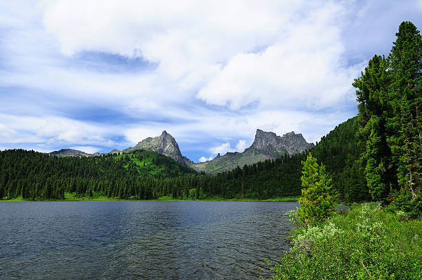 lago nas montanhas (sibéria, ergaki). - schreckhorn uncultivated tree summer imagens e fotografias de stock