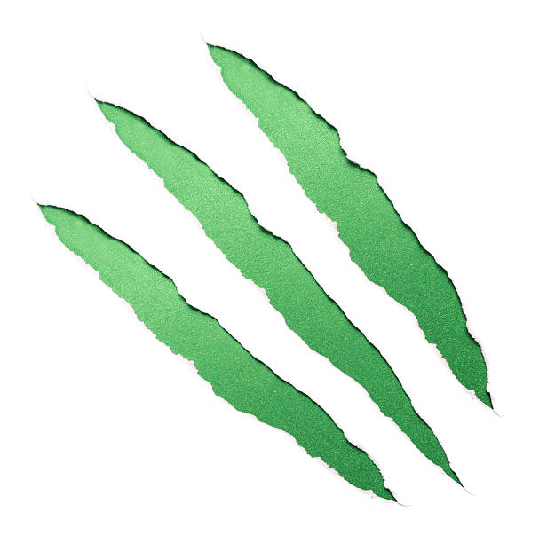 Green claws scratches Green claws scratches on paper background claw stock pictures, royalty-free photos & images