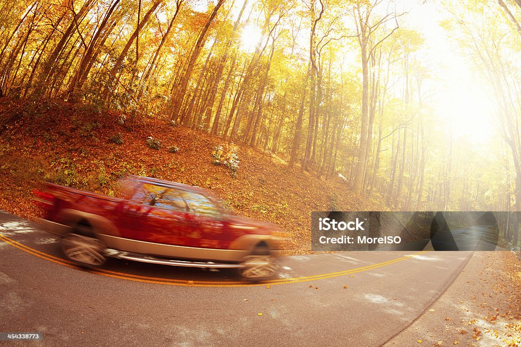 Pickup condução em floresta - Royalty-free Ajardinado Foto de stock