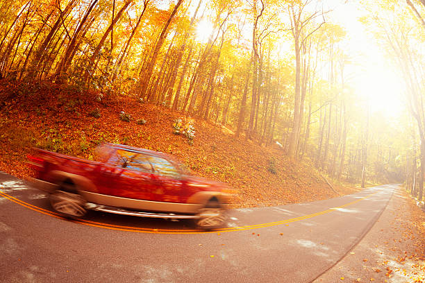 встреча вождение в лесу - gatlinburg road winding road tennessee стоковые фото и изображения