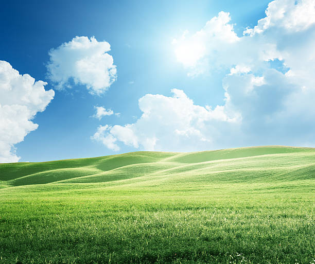 istock field of grass and perfect sky 454339335