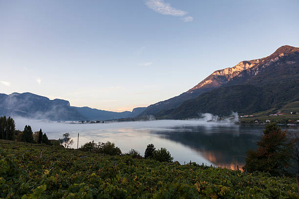 lago caldaro-kalterer ver pronto amanecer - lake caldaro fotografías e imágenes de stock