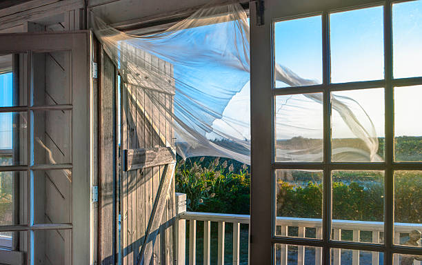 Morning Breeze at the Beach House
