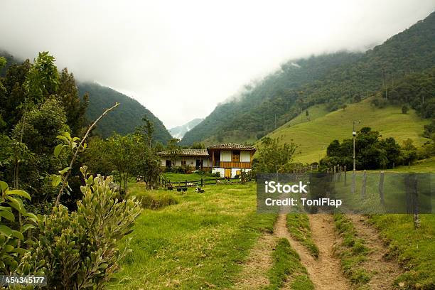 Ruta Por Cocora Valley Foto de stock y más banco de imágenes de Colombia - Colombia, Los Andes, Paisaje no urbano