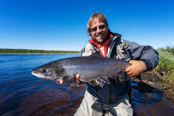 istock Salmon  action - Large one with 16 lbs 454346349