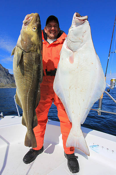felice con merluzzo e halibutt pescatori - halibut flatfish fish hanging foto e immagini stock