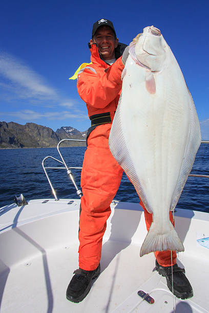 flétan la pêche sportive - sinker photos et images de collection