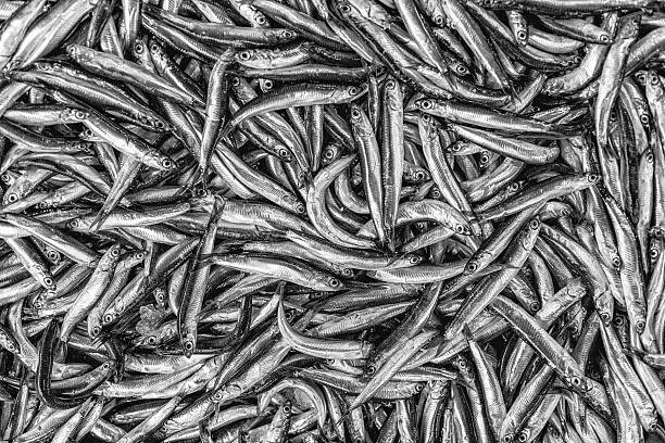 istock Tile of fishes 454351959