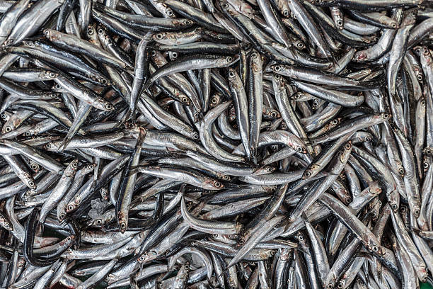 istock Tile of fishes 454352341