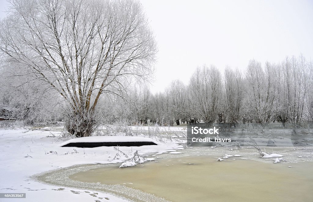 winter landscape of a river with boat winter landscape of a river, with snowy willow trees and frost. boat laying on land. Bay of Water Stock Photo